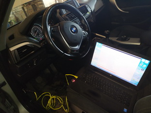 Программное отключение катализатора в Минске